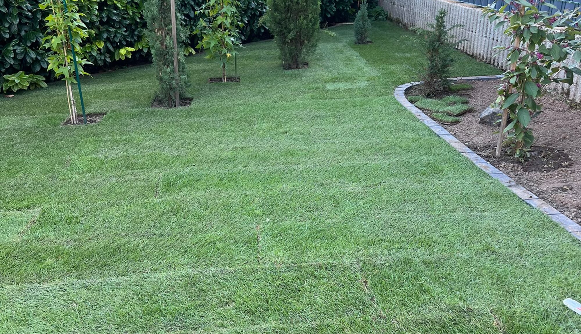 Neu angelegter Garten mit Rollrasen, Hecke und Sichtschutz